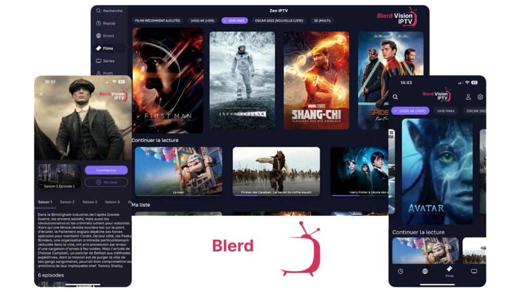 Blerd Vision IPTV – The #1 Best IPTV Service | Official Site